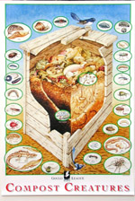 Compost Creatures