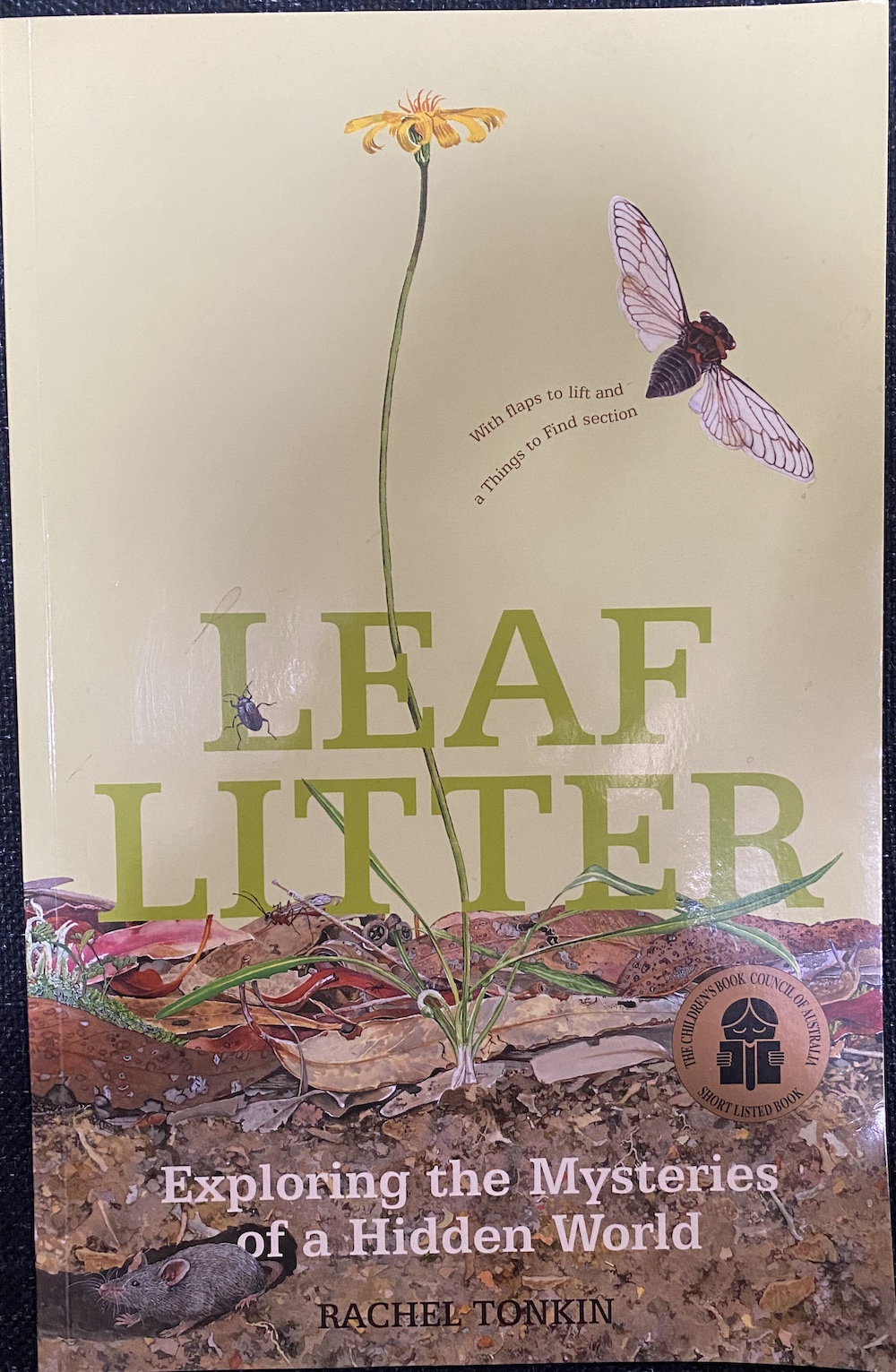 Leaf-Litter-Rachel-Tonkin